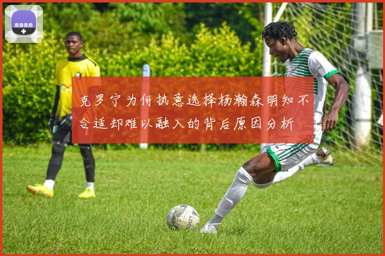 克罗宁为何执意选择杨瀚森明知不合适却难以融入的背后原因分析