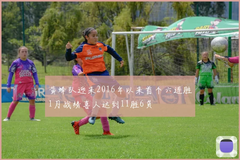 黄蜂队迎来2016年以来首个六连胜1月战绩喜人达到11胜6负