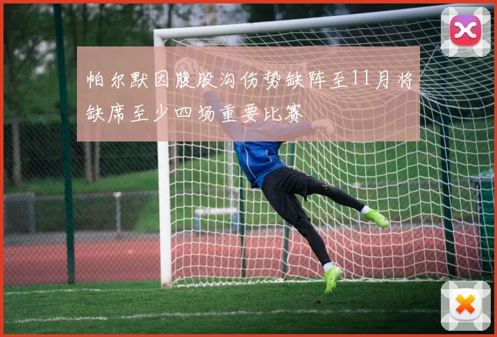 帕尔默因腹股沟伤势缺阵至11月将缺席至少四场重要比赛