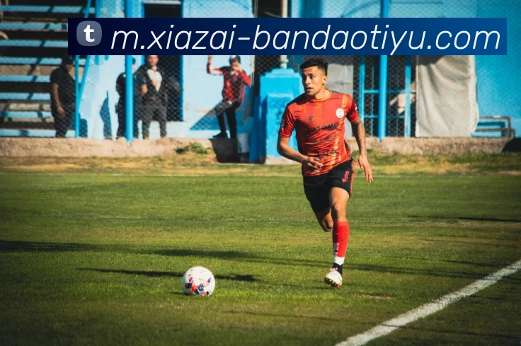 半岛体育平台生态图